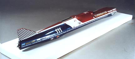 model back view